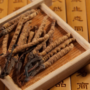 Đông Trùng Hạ Thảo Tự Nhiên Hay Nhân Tạo Đâu Mới Là Tốt Nhất?